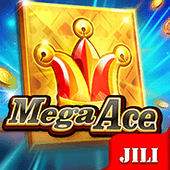 Mega Ace - Play Happy Bingo Games