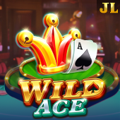 Wild Ace - Happy Bingo Game